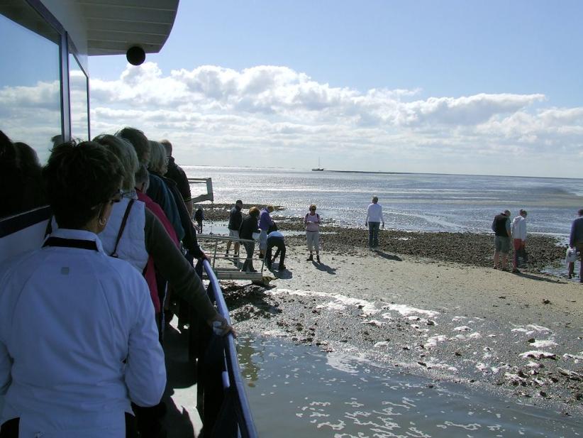 Auf der Muschelbank